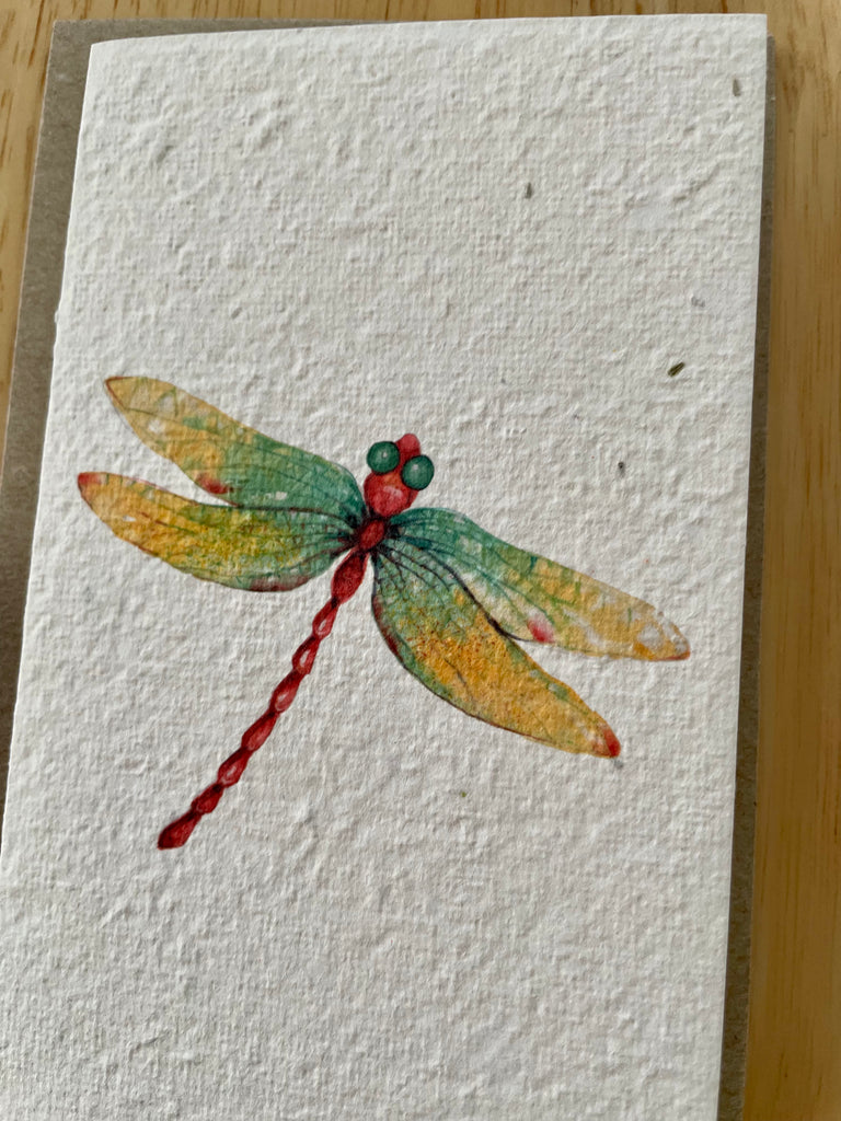 The Dragonfly Card (that grows)
