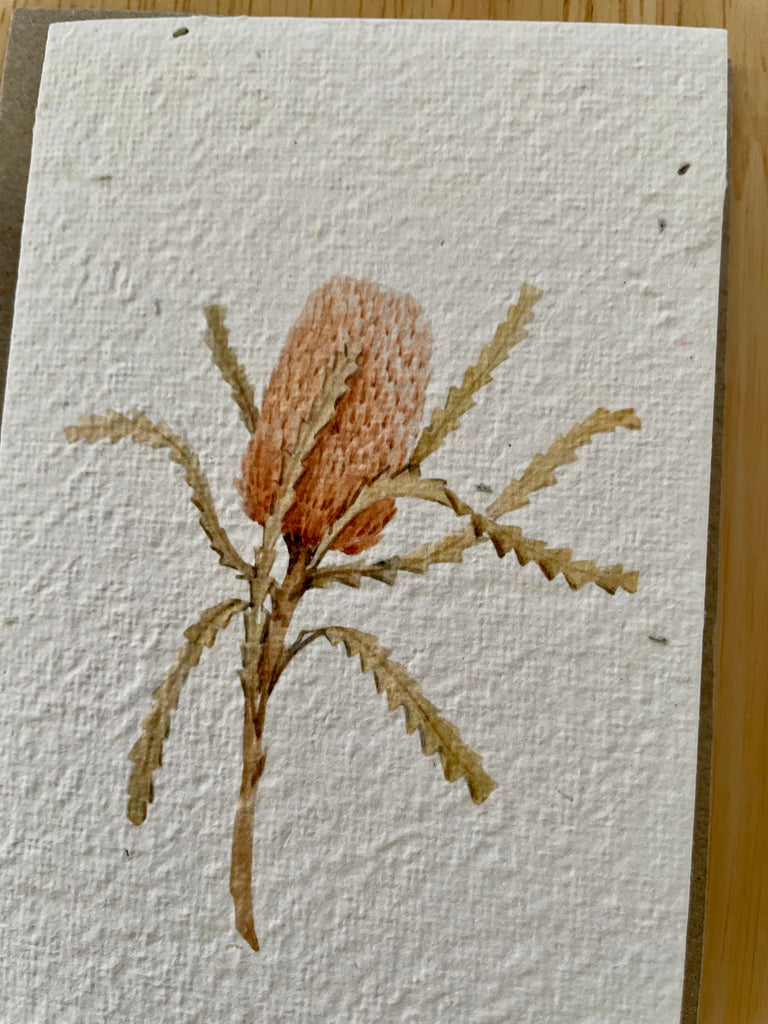The Banksia 🌺 Card (that grows)