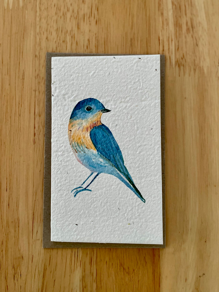 The Blue Bird 🐦 Card (that grows)
