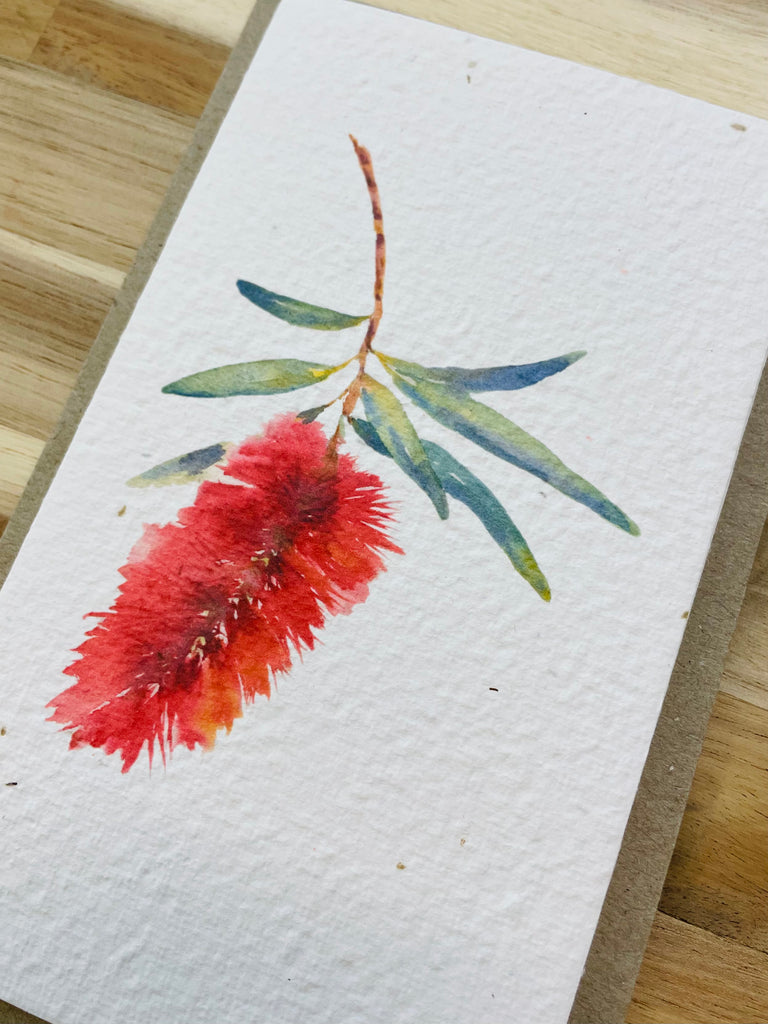 The Bottlebrush 🌺 Card (that grows)