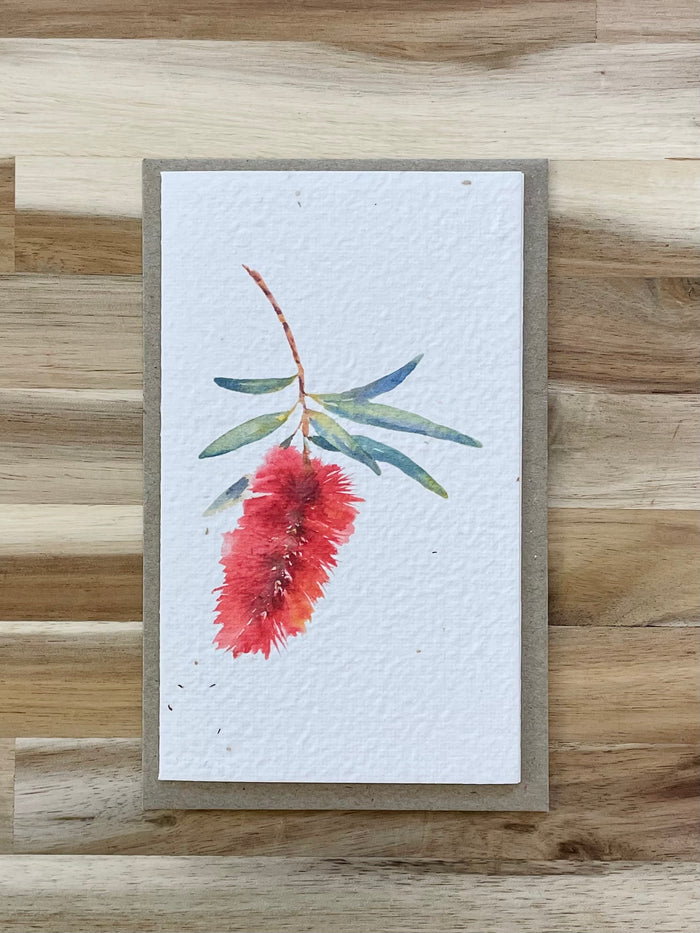 The Bottlebrush 🌺 Card (that grows)