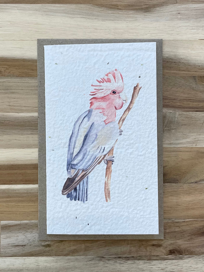 The Galah 🐦 Card (that grows)