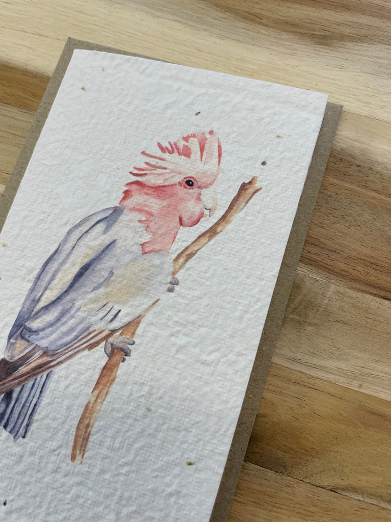 The Galah 🐦 Card (that grows)