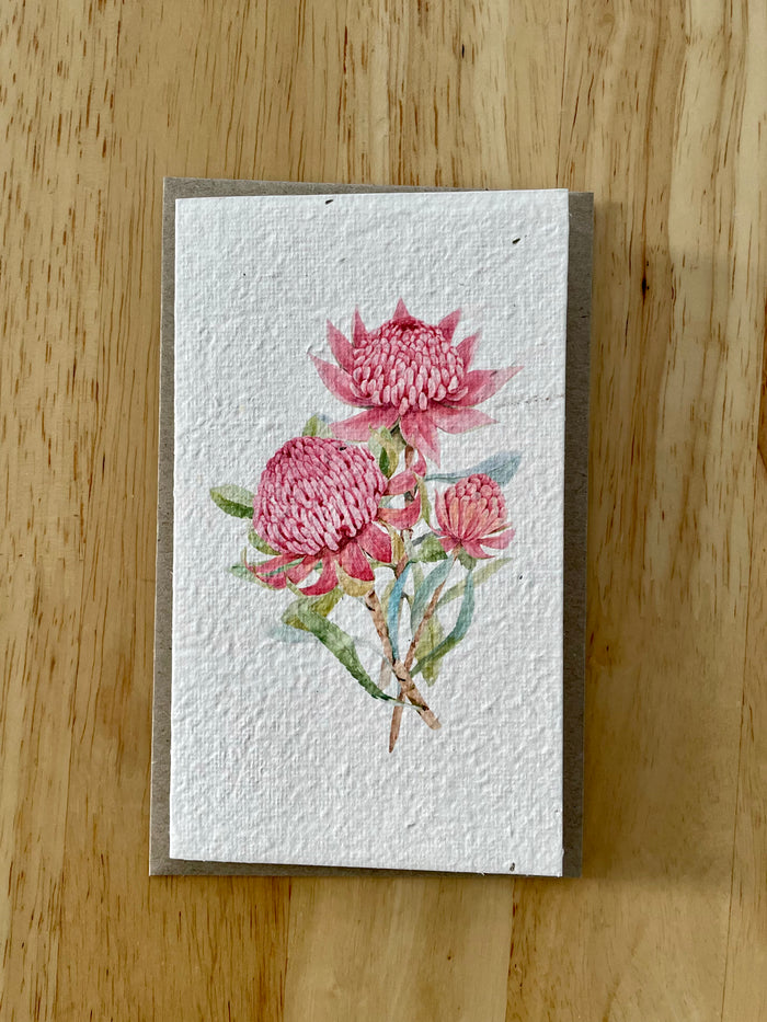 The Waratah 🌺 Card (that grows)