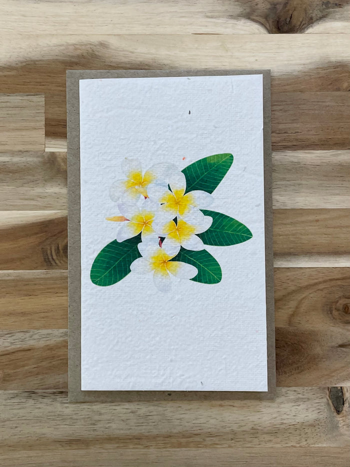 The Frangipanis 🌼 Card (that grows)