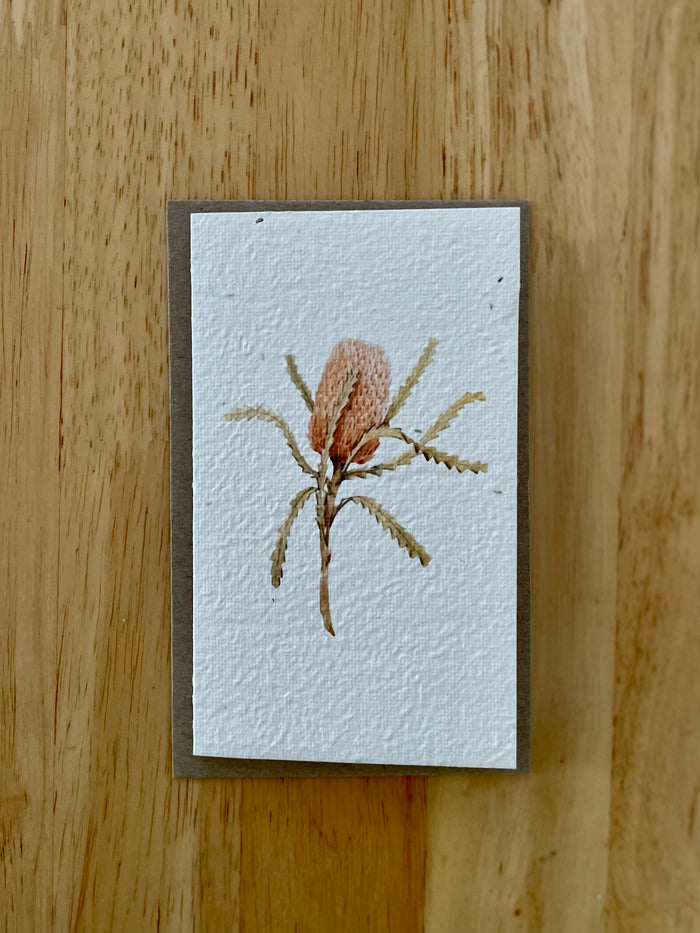 The Banksia 🌺 Card (that grows)