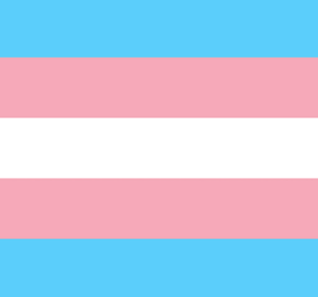 The Trans Pride 🏳️⚧️ BeeKeeper Bumbag