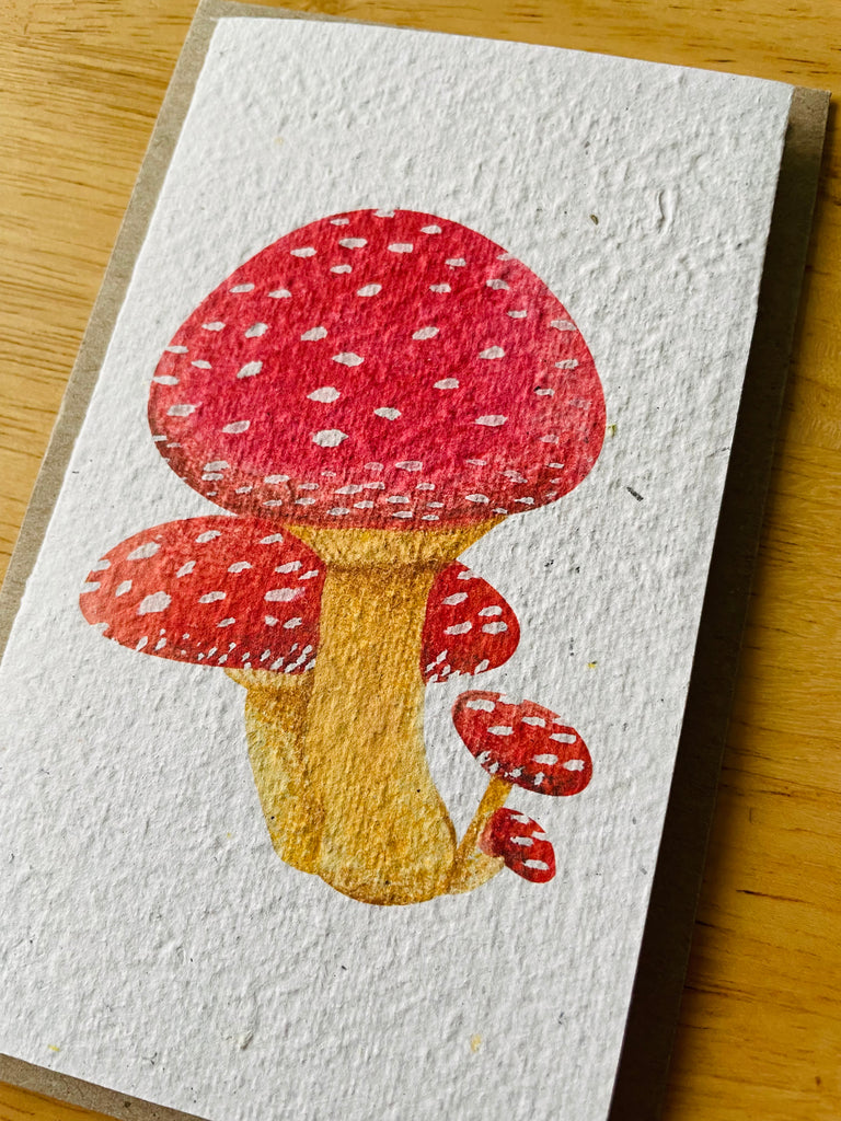 The Mushroom 🍄 Card (that grows)