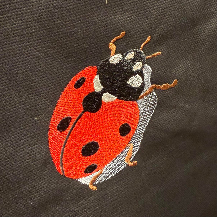Ladybug