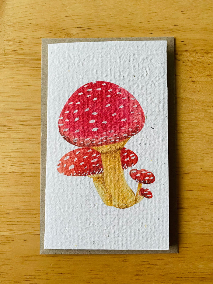 The Mushroom 🍄 Card (that grows)