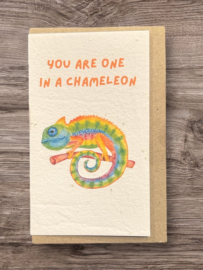 You are one in a chameleon Card (that grows)