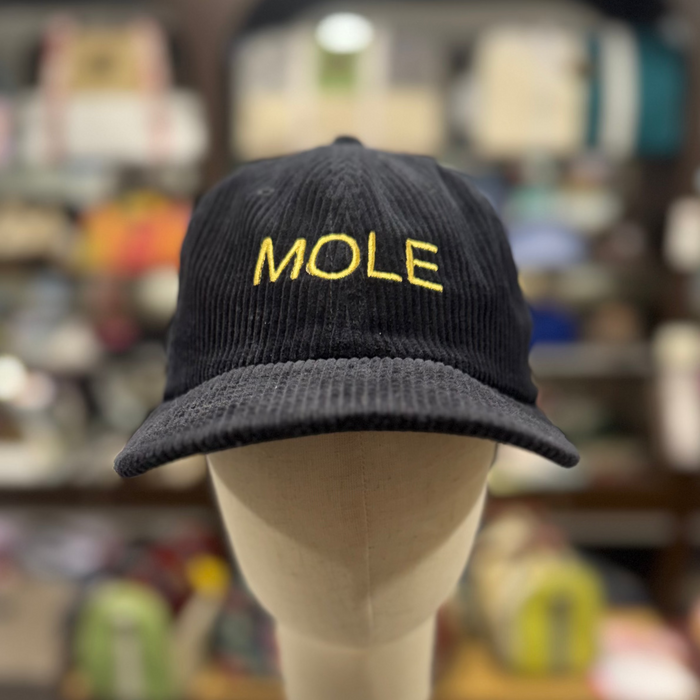 MOLE 💋 Embroidered Corduroy Cap 🧢 (Black)