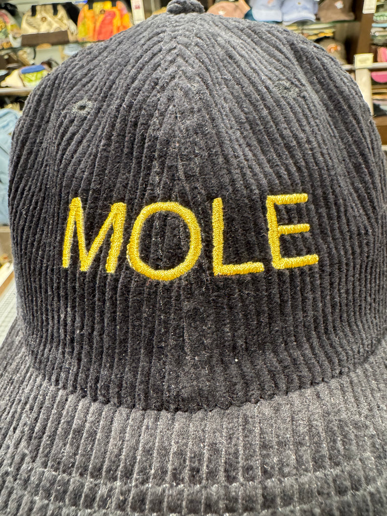 MOLE 💋 Embroidered Corduroy Cap 🧢 (Black)