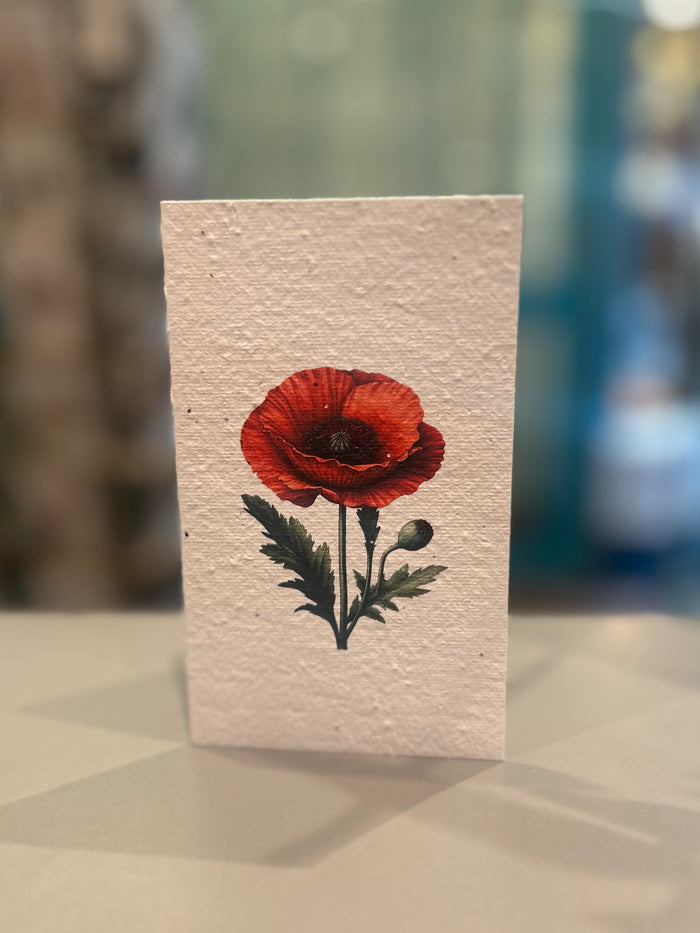 The Single Poppy Card (that grows)