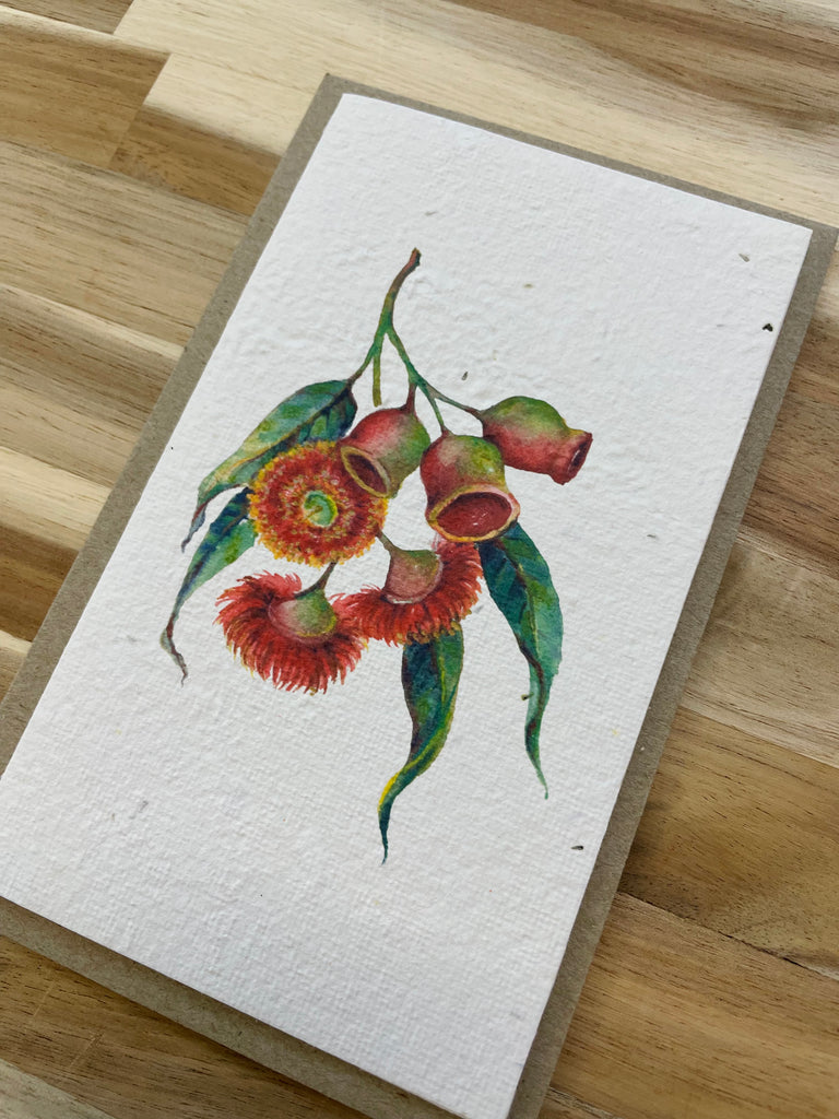 The Red Flowering Gumnut 🌺 Card (that grows)