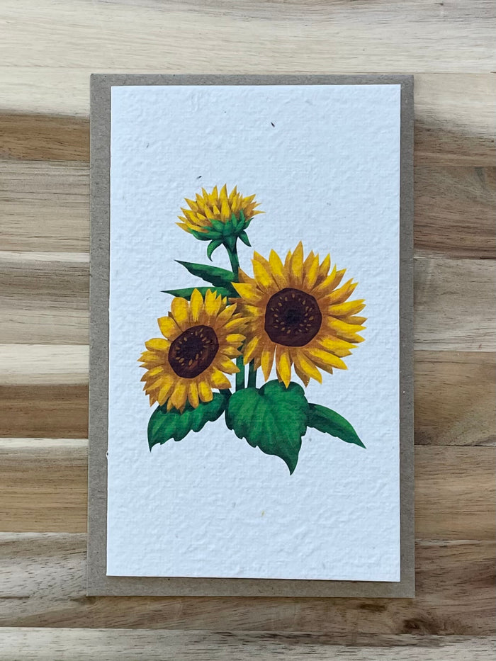 The Sunflowers 🌻 Card (that grows)