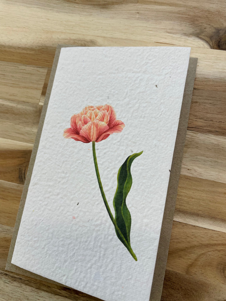 The Peony 🌺 Card (that grows)