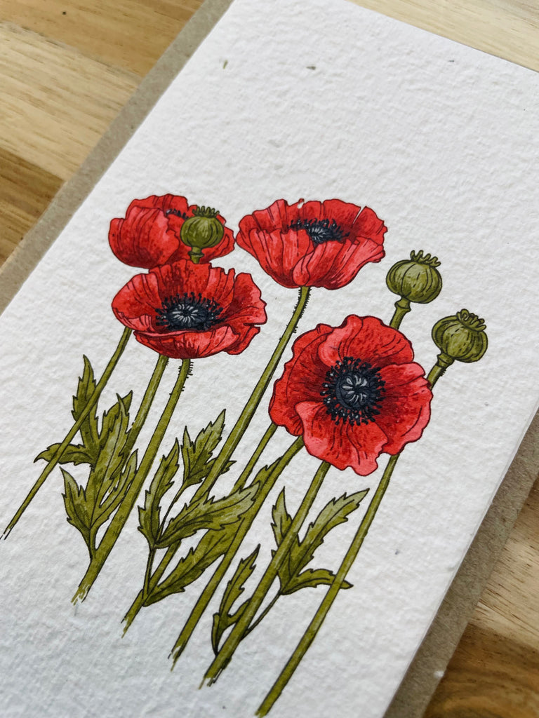 The Poppies 🌺 Card (that grows)