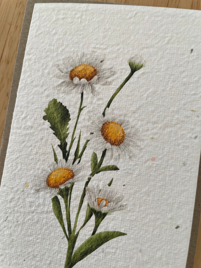 The Daisy 🌼 Card (that grows)