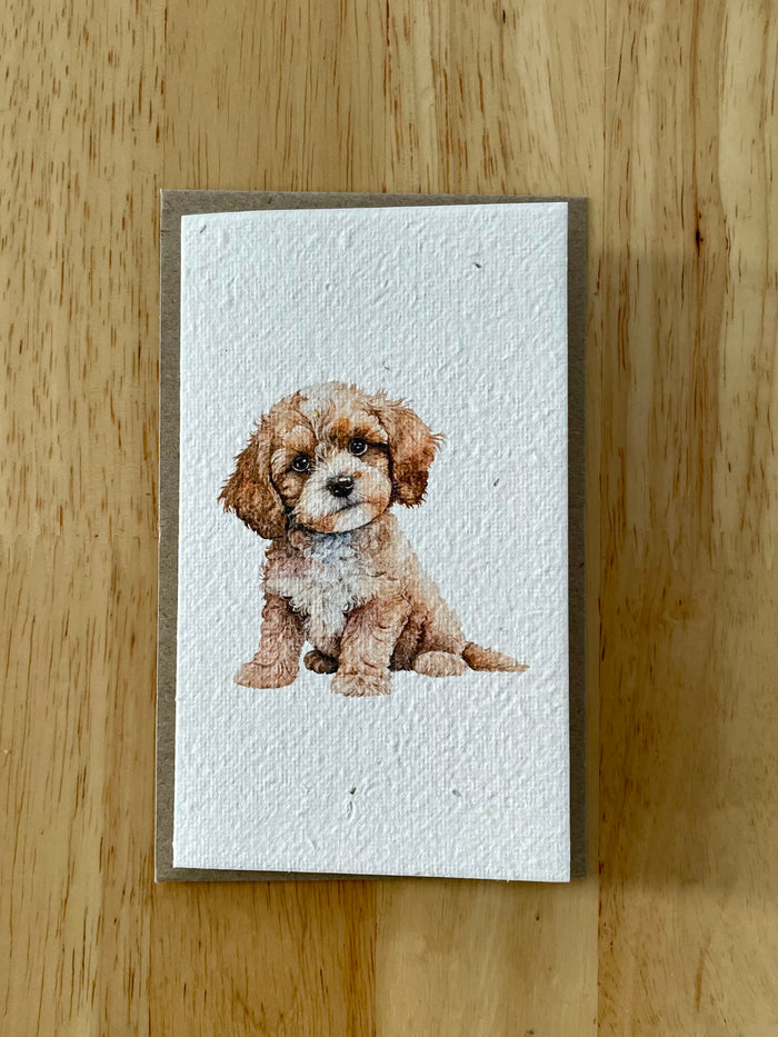The Puppy 🐶 Card (that grows)