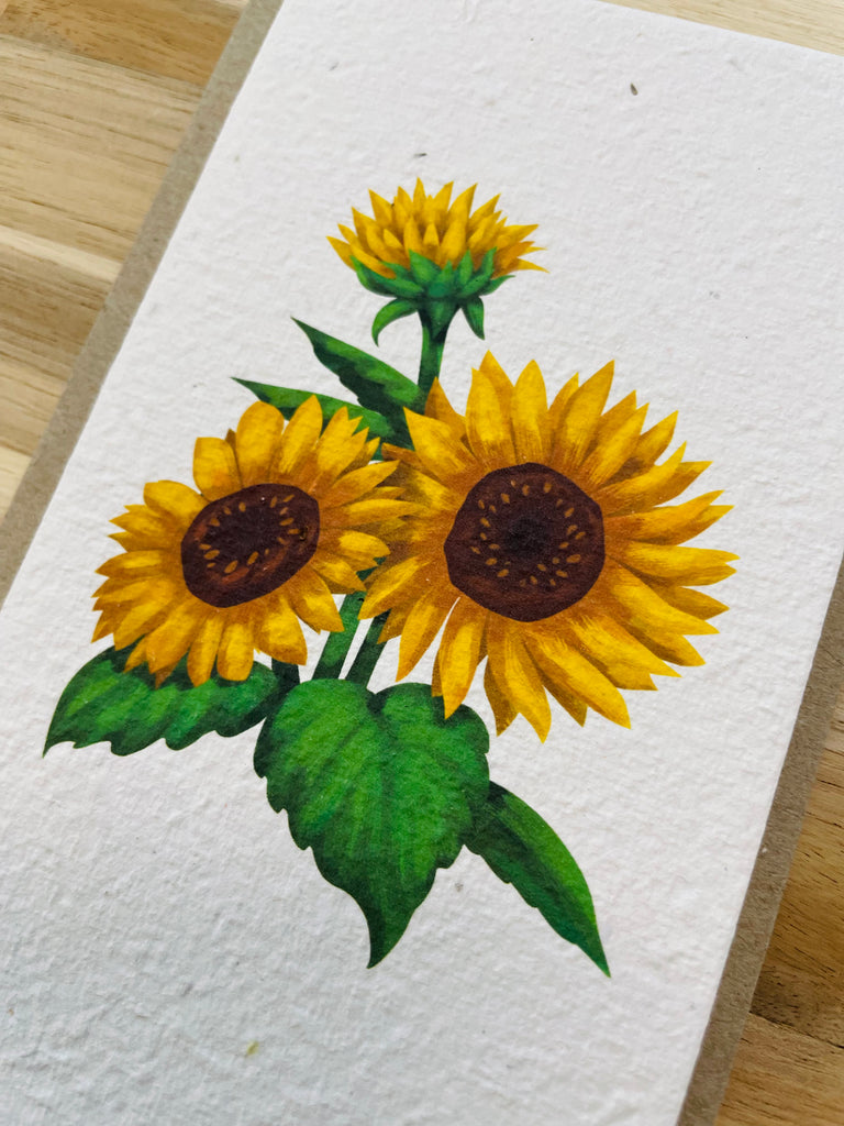 The Sunflowers 🌻 Card (that grows)