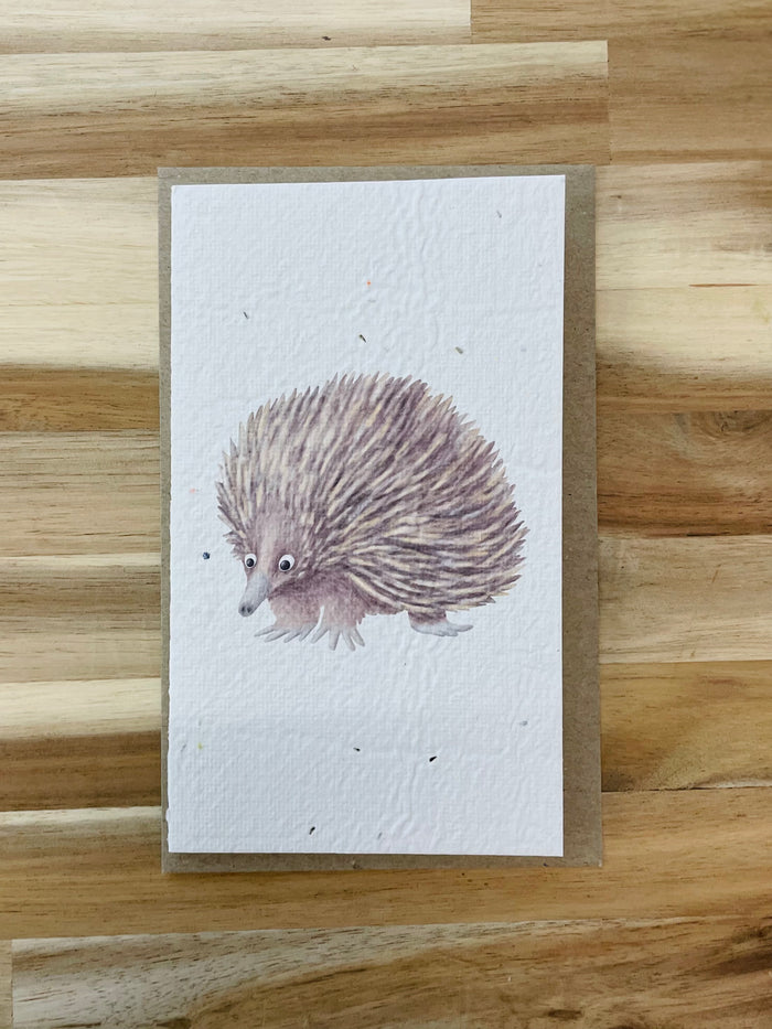 The Echidna Card (that grows)