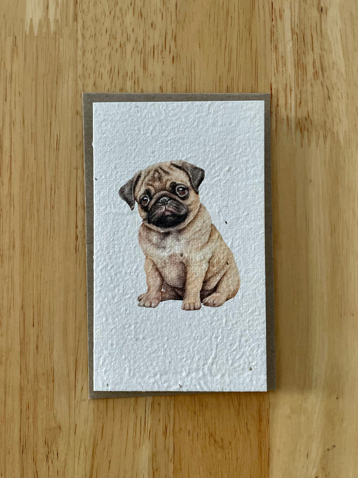 The Pug 🐶 Card (that grows)