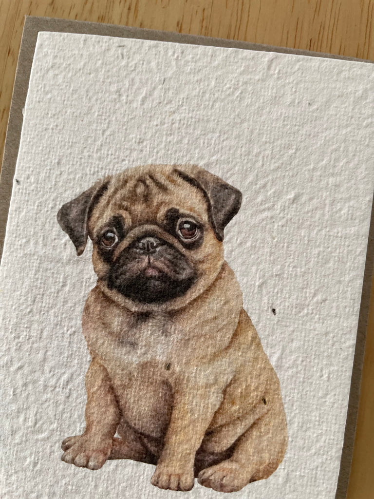 The Pug 🐶 Card (that grows)