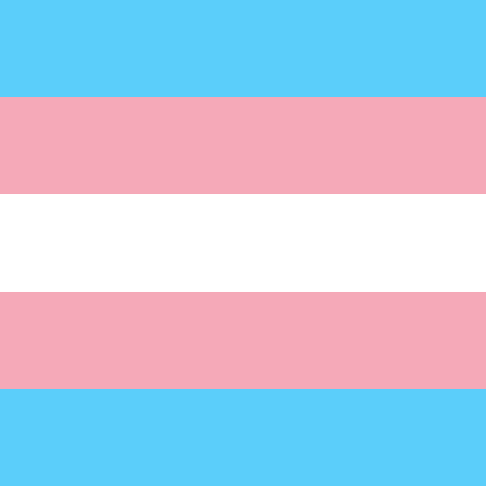 💖PREORDER: The Trans Pride 🏳️‍⚧️ BeeKeeper Carry-All (Black Label)