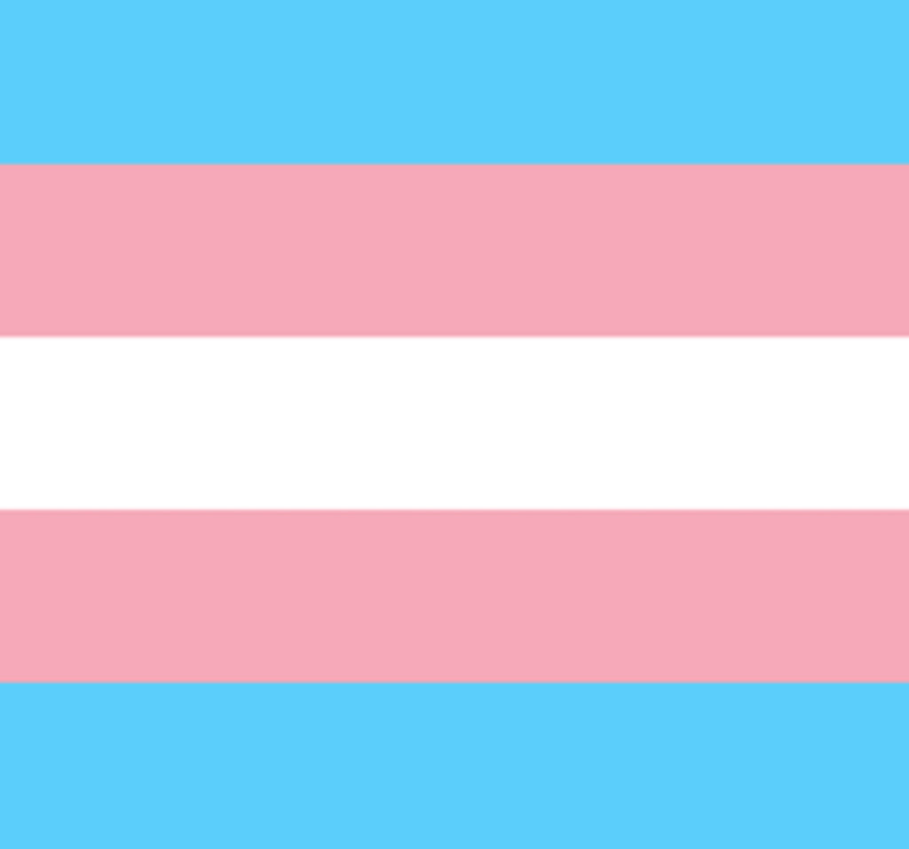 The Trans Pride 🏳️‍⚧️ Large Toiletry + Makeup Bag