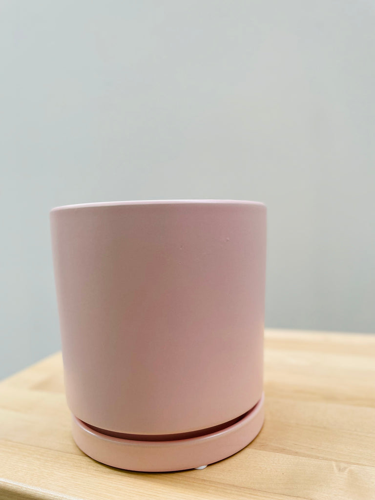 Ceramic Pot Blush (with attached saucer)  💗
