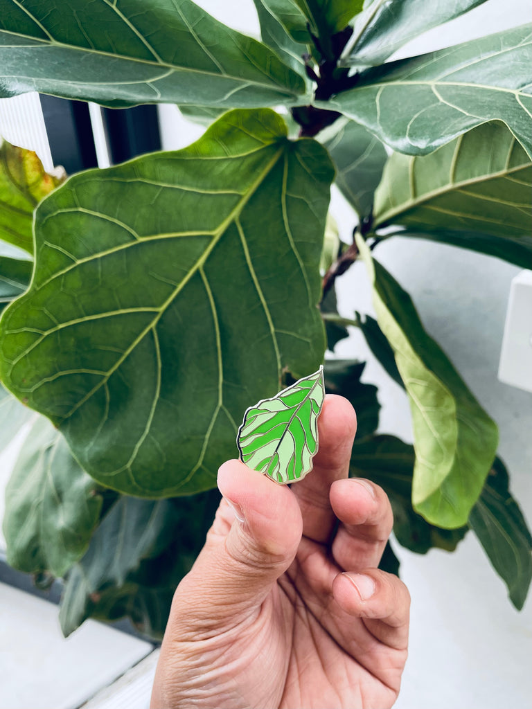 BeeKeeper Parade's Fiddle Leaf Fig 🍃 Pin